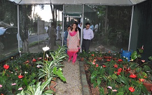 The First lady of the state Smti. Neelam Mishra visit Orchid Garden at Raj Bhavan on 3rd October2017. 